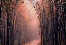 虎扑nba：[球之夜]中国盲：光明的召唤.