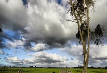 [图]足总杯-菲利克斯梅开二度 切尔西5-0莫克姆晋级.