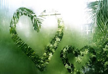 ⚽️西甲战报:科内失良机,索利斯绝杀,赫罗纳1-0客胜阿拉维斯.