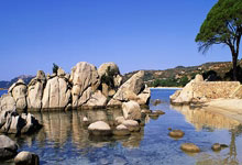 虎扑nba:迈阿密决赛锐评:乱世称雄!没有了辛纳的男网已经彻底乱套了!.